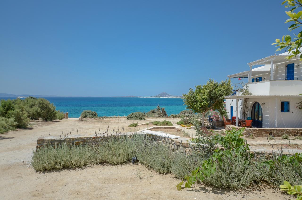Orkos Blue Coast Apartment Mikri Vigla Exterior foto